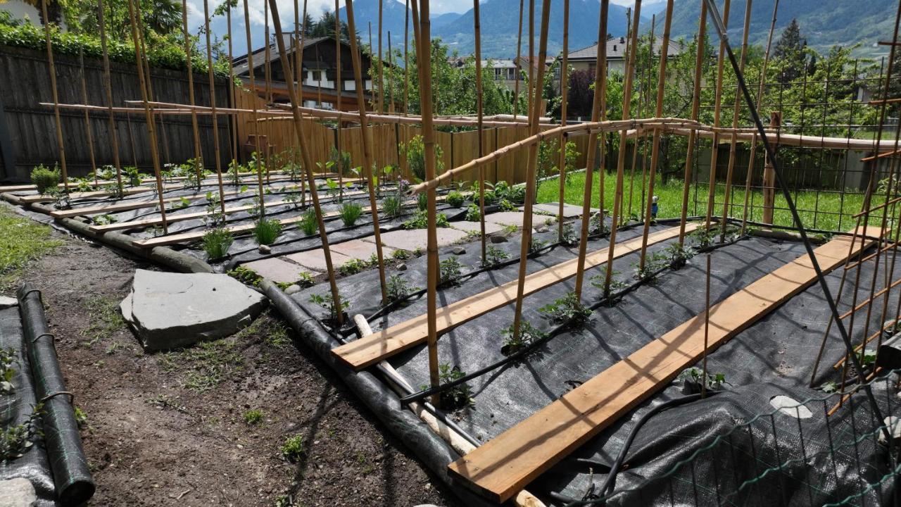Nora S Home 2 - Panoramic Terrace & Bio Garden Meran Buitenkant foto
