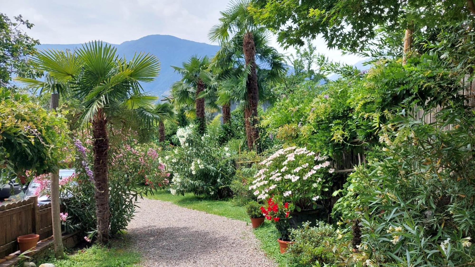 Nora S Home 2 - Panoramic Terrace & Bio Garden Meran Buitenkant foto